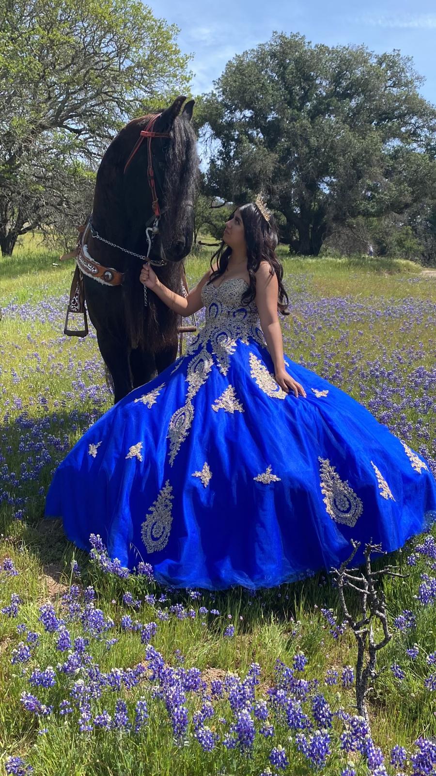 Sesion de caballos en el rancho